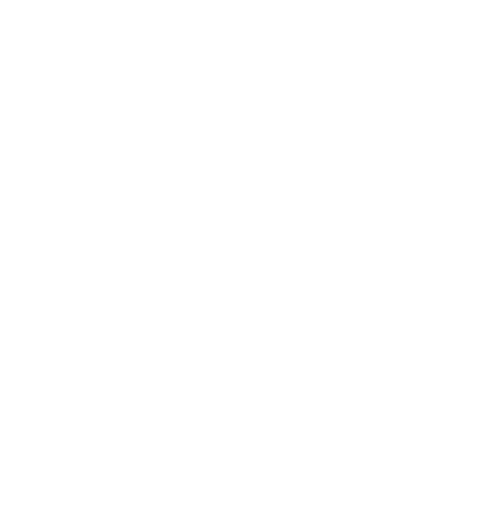 C4E Logo